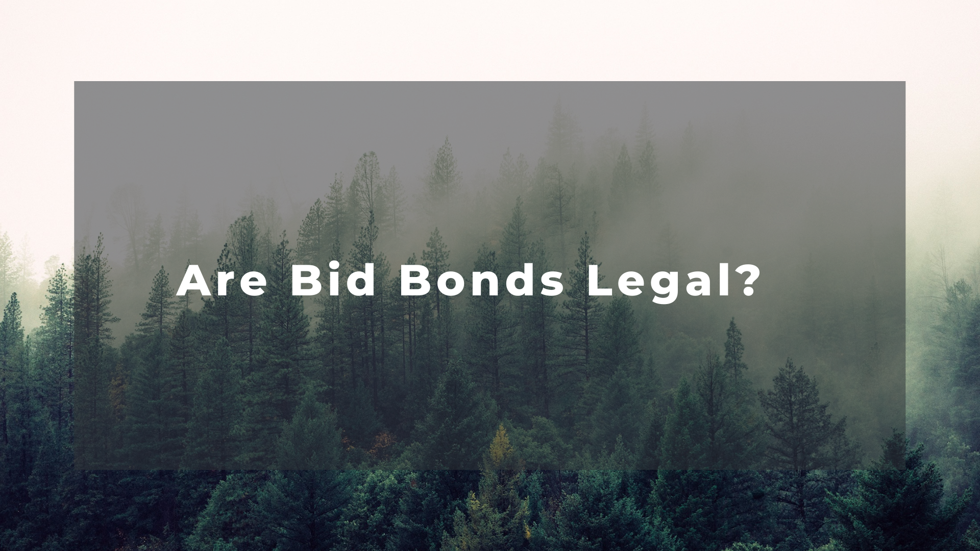 bid bond - Why do businesses need bid bonds - trees