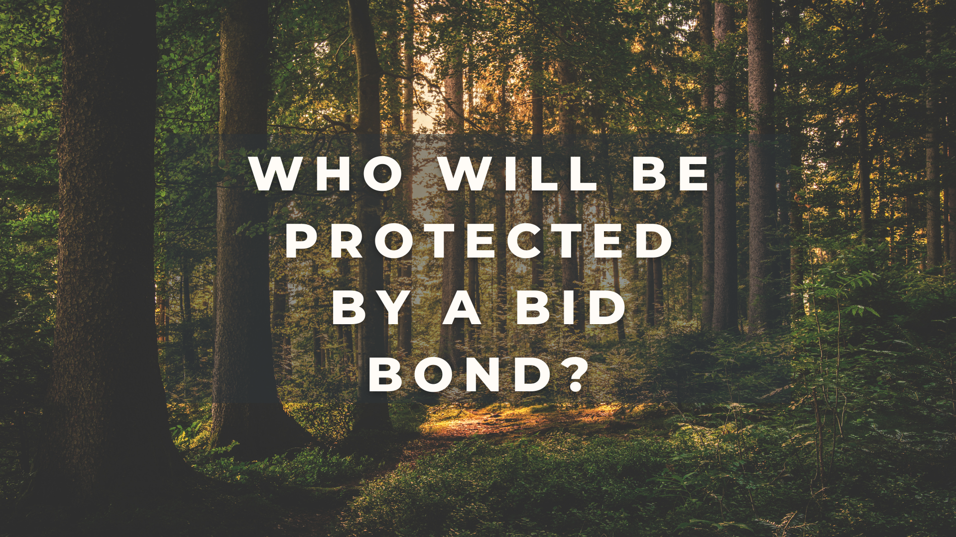 bid bond - What is a bid bond - forest